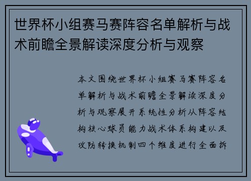 世界杯小组赛马赛阵容名单解析与战术前瞻全景解读深度分析与观察