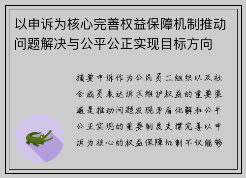 以申诉为核心完善权益保障机制推动问题解决与公平公正实现目标方向
